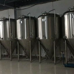 精酿啤酒设备投资指南 从费用选型到优质厂家报价全解析